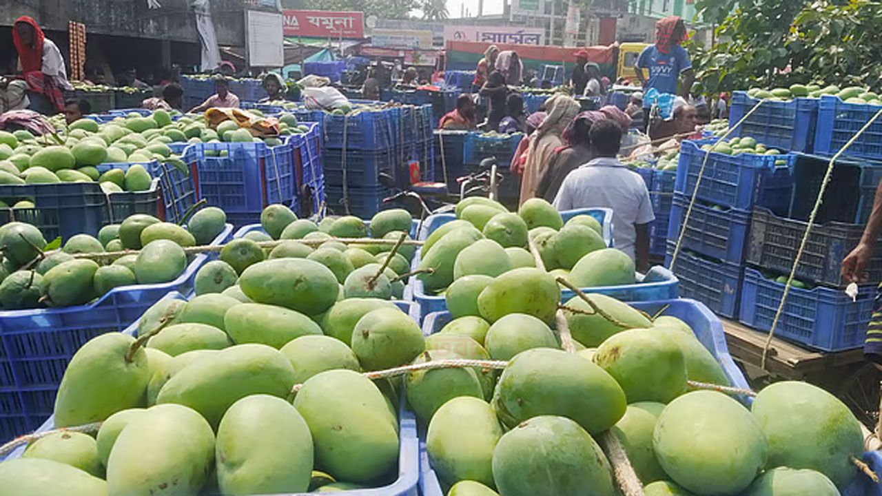 রাজশাহীর অর্থনীতি মূলত আমকেন্দ্রিক। প্রতি বছর মে থেকে আগস্ট মাস